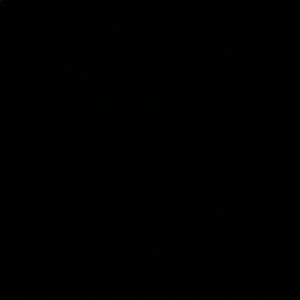 Meet your Posher, Sheila